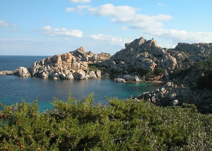 Hotel adatto agli animali: Hotel Moderno