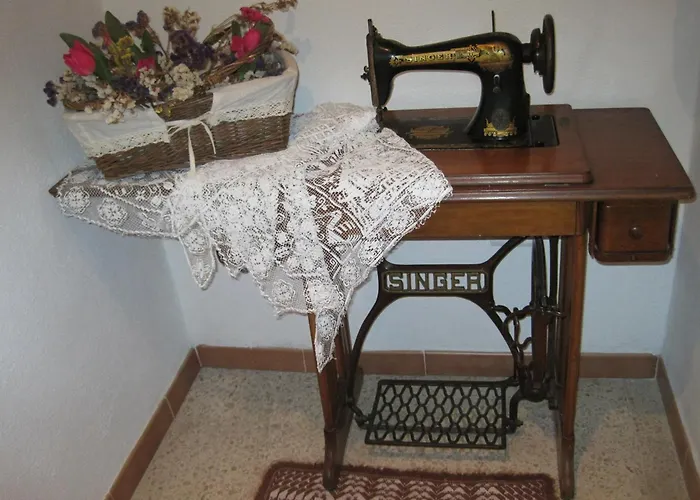 Hotel adatto agli animali: Hotel Moderno